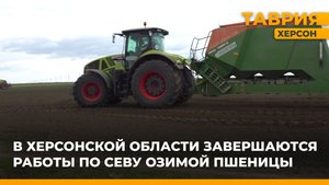 В Херсонской области завершаются работы по севу озимой пшеницы