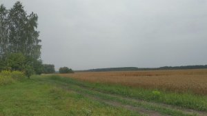 Воспоминание о лете