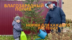Влагозарядный полив когда, сколько и как поливать