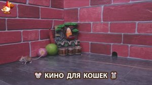 Видео для кошек про крысок развлекать питомцев 🐭🐀😂 (353)