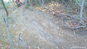 Джарвис сырость