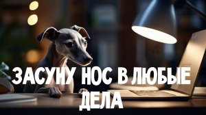 Сую нос в чужие дела. Недорого.