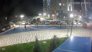 Бродячие псы напали на девочку с собачкой в Краснодаре