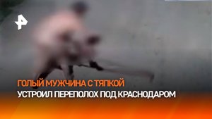Ультранасилие аграрное: голый мужчина с тяпкой устроил дестрой под Краснодаром