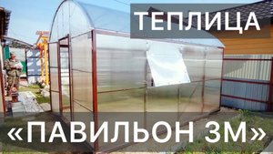 ТЕПЛИЦА ПРЯМОСТЕНКА. ПАВИЛЬОН 3М.