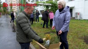 В белгородской школе №39 создают уют и продолжают добрые традиции