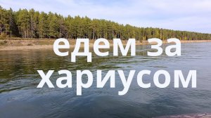 съездили за хариусом
