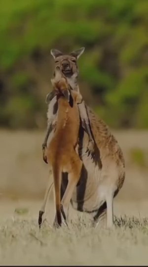 Родители и дети. Вечная любовь)))