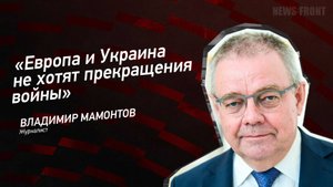 "Европа и Украина не хотят прекращения войны" - Владимир Мамонтов