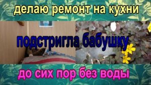 № 943 делаю ремонт на кухни //  подстригла бабушку //  до сих пор без воды!