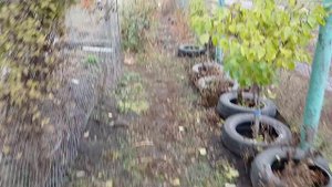 Реставрация тумбочки, немного сыра и животных