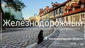 Железнодорожный