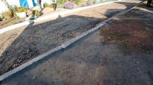 The Simon 4: Mike is resurrected 
4 сезон 11 серия