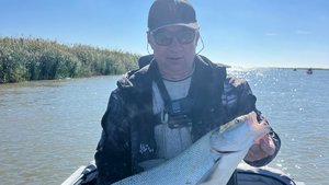 Рыбалка в Маково 2025. Астраханская область.