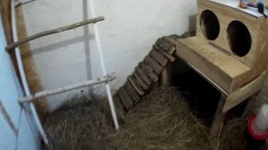 Закончили с курятником