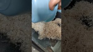 Рис  в духовки с курицей.