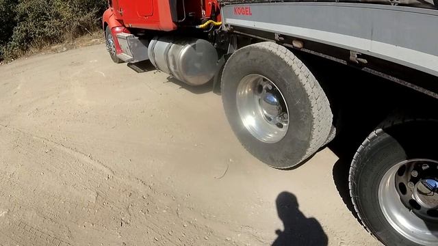 Все дармовозят и мы дармовозим