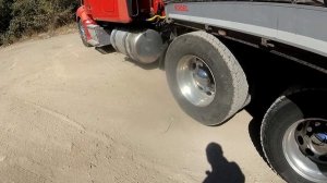 Все дармовозят и мы дармовозим