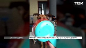 Кинолог ФСИН просит отдать ему служебную собаку после выхода на пенсию