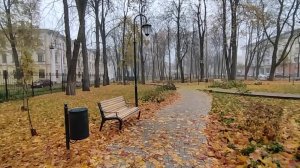 Первые ночные заморозки/Поставила укол/Проверяйте чеки не отходя от кассы