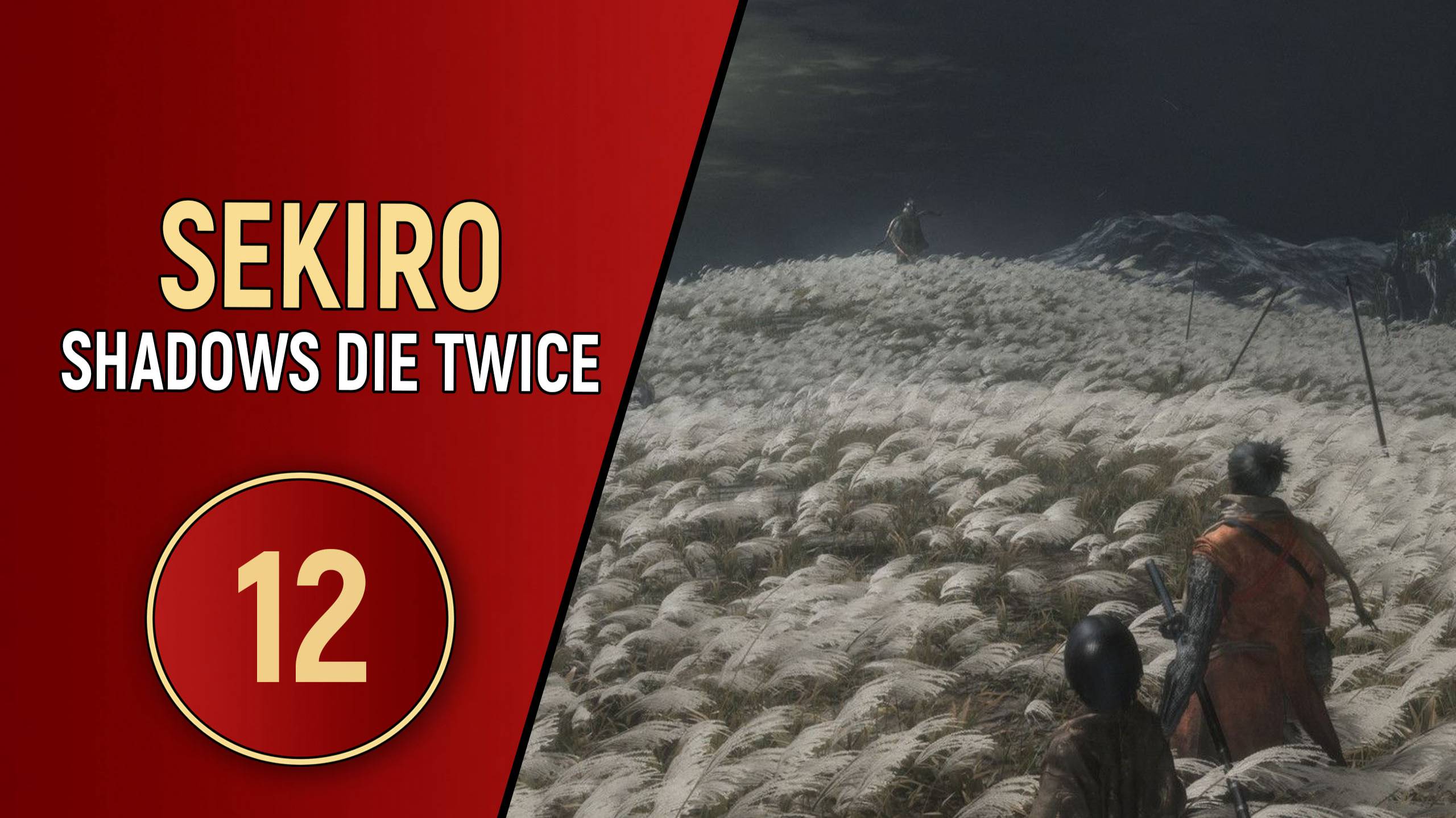 SEKIRO SHADOWS DIE TWICE - ЧАСТЬ 12 - ТАИНСТВЕННЫЙ ЛЕС