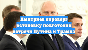 Дмитриев опроверг остановку подготовки встречи Путина и Трампа