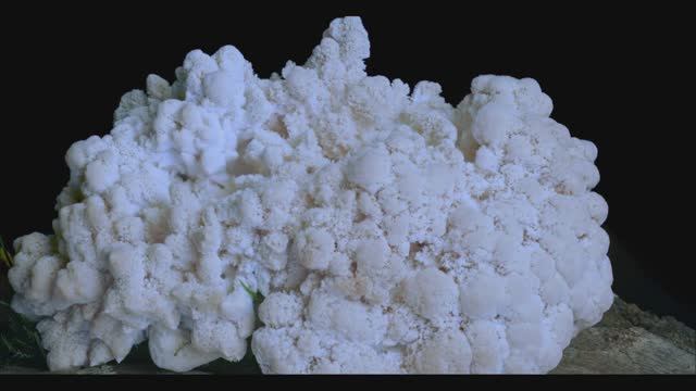 Как растут грибы. Ежовик Гребенчатый смотреть онлайн