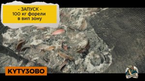 22.10 форель в вип
