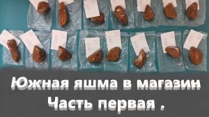 Южная яшма в магазин . Часть первая .