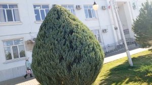 Была по делам в районе. Наша школа.