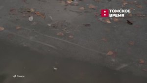Томские спасатели следят за водоёмами