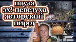 162-25! БЕРЁМ ПАУЗУ/РОЗОВОЕ МАСЛО/ВЫКОПАЛИ ВИНОГРАД/САД/НЕВЕЗУХА/МОЙ ПИРОГ/ГИГАНТ 🥕🥕🥕