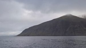 Закрываем сезон  рыбалки на тунца, Итуруп 2025