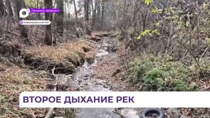 Осеннюю расчистку русел рек провели в Кавалеровском округе