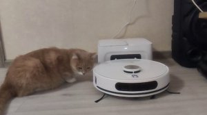 ЕЩЁ СБЫЛАСЬ ОДНА МОЯ МЕЧТА! ПОМОЩНИК В ДОМЕ