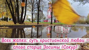 Всех жалко: суть христианской любви — слово старца Зосимы (Сокур)