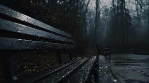 Мы выходим из комы