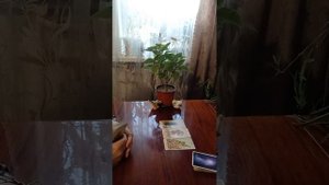 Таро.Время для мужчины.