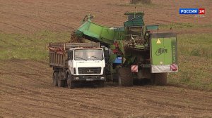 Губерния. Крестьянско-фермерское хозяйство Савковых (26.10.2025)