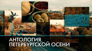 Антология петербургской осени. Как меняется жизнь города?