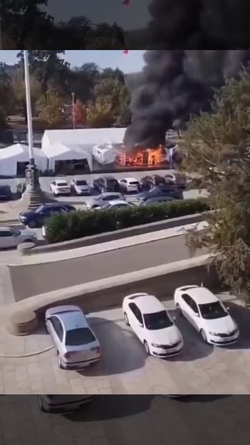 telegram-cloud-document-2-5460676812327648768 смотреть онлайн