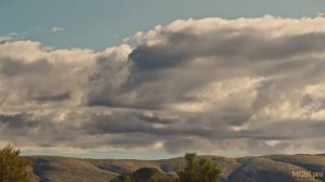 Лиа и кенгуру (2025) . Комедия , детский , семейный . Австралия . Трейлер