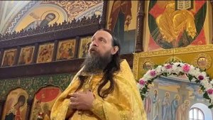 О необходимости поступать по совести ради заповедей Божьих