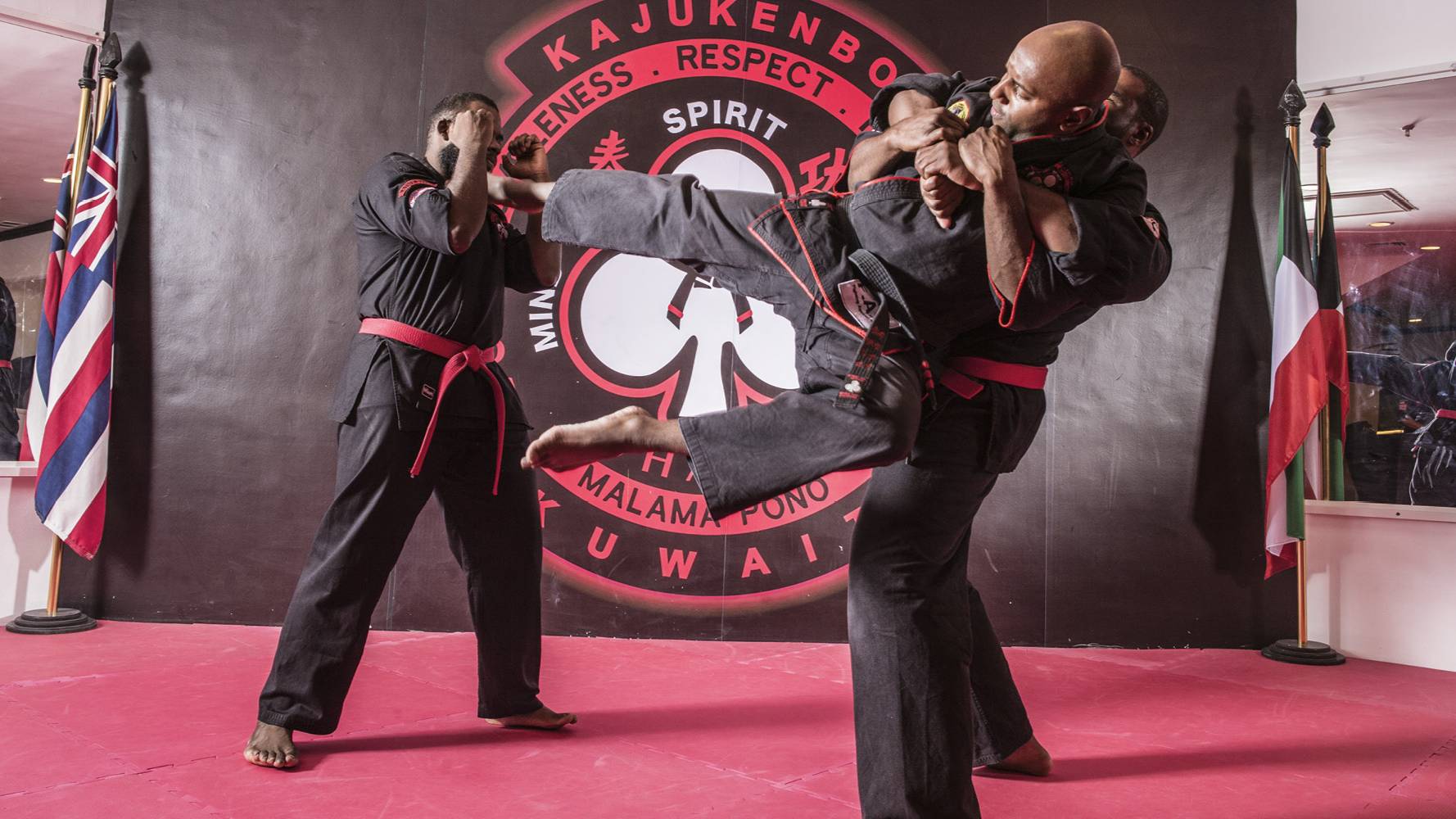 Грандмастер Роберт Нью КАДЗЮКЕНБО. ГРЯЗНАЯ ДРАКА