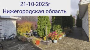 Варю лагман по заказу. Отмыла кухню.21-10-2025г.Жизнь в деревне.