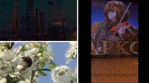 Полет шмеля