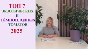 ТОП 7 ЭКЗОТИЧЕСКИХ И ТЕМНОПЛОДНЫХ ТОМАТОВ 2025.