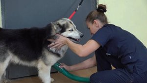 Инструмент помощи от государства