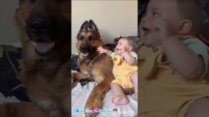 Бог сказал- любите людей! Услышали только собаки
