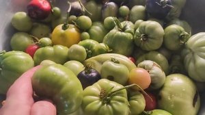 VLOG доча кулинарит ☺, первое яйцо пашот, вкусные кручëные мини пиццы, острые зелёные помидорки🤤